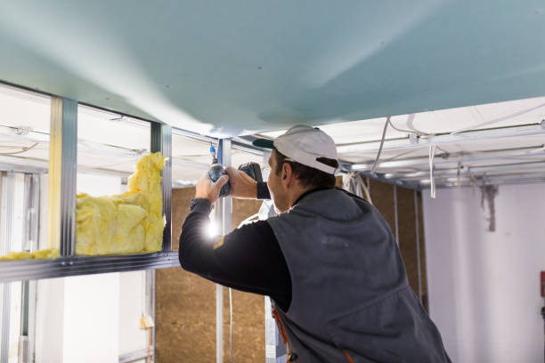 Best Insulation Installation Services in Cohasset, MN
